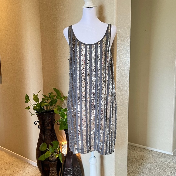 Sequin & Silk Silver Dress NWT - Picture 1 of 6
